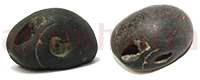 Shaligram 1074 70gm
